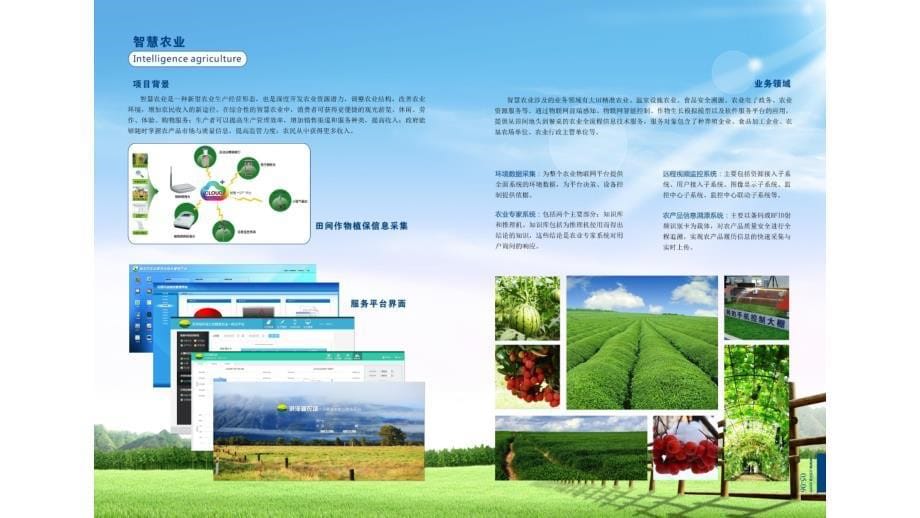 物联网技术解决方案_第5页