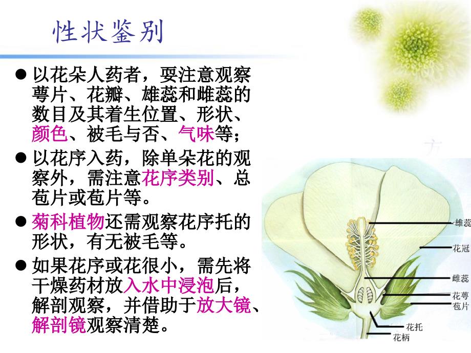 生药学第章花类生药PPT课件_第4页