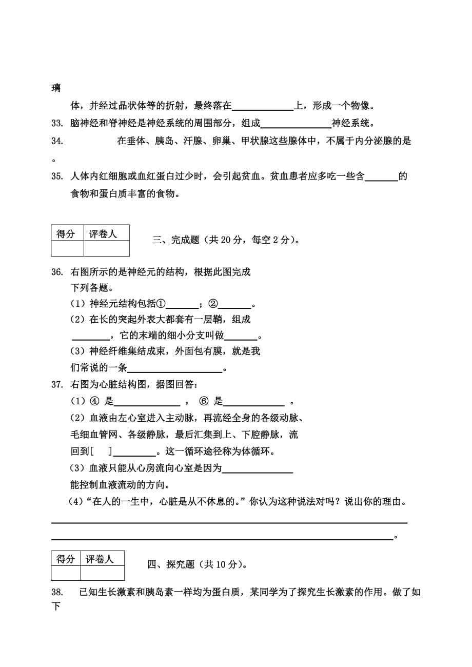 《精编》七年级生物调研考试_第5页