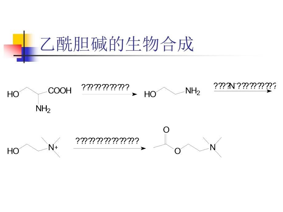 药物化学课件第三章外周神经系统药物PPT课件_第5页