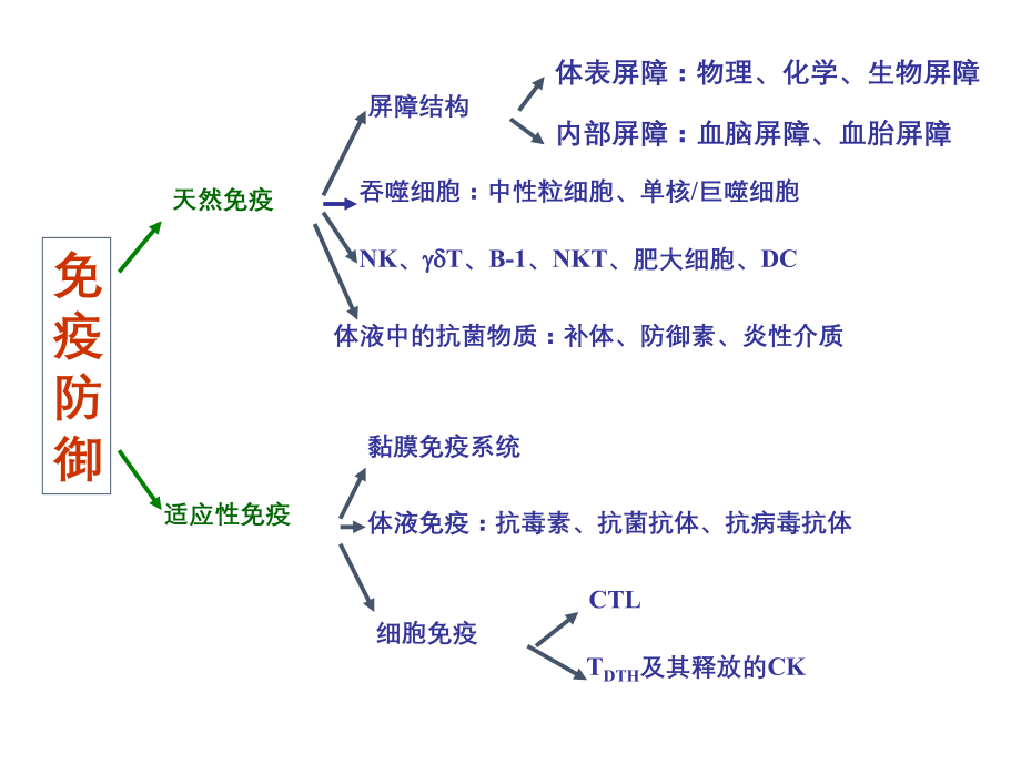 2020年整理第九章固有免疫（五月二十六）.ppt_第3页