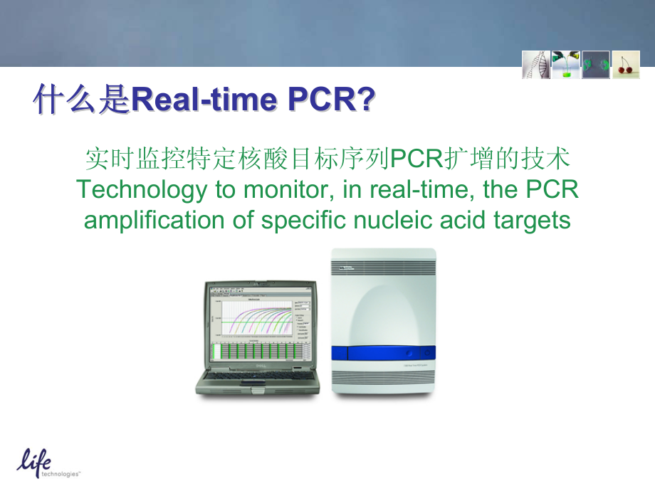 荧光定量PCR技术和原理详细讲解_第4页