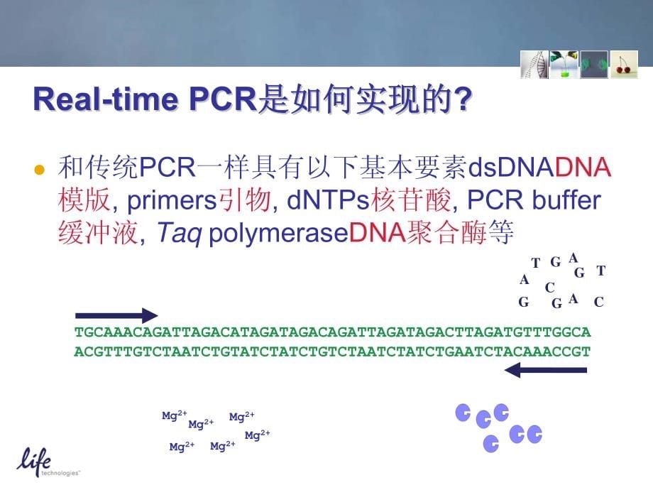 荧光定量PCR技术和原理详细讲解_第5页
