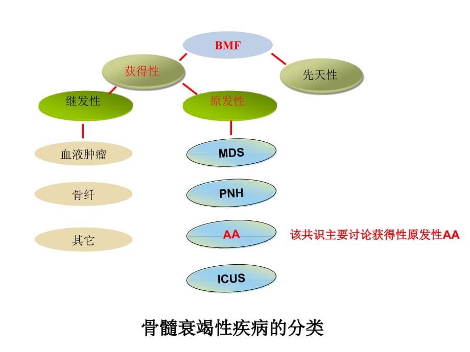 再障诊疗共识PPT课件_第5页