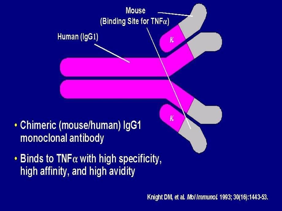 生物制剂在风湿免疫科应用（五月二十六）.ppt_第5页