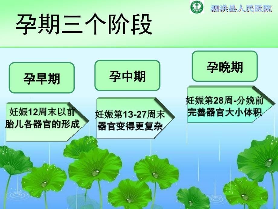 孕早期健康宣教刘金艳演示文稿PPT课件_第5页