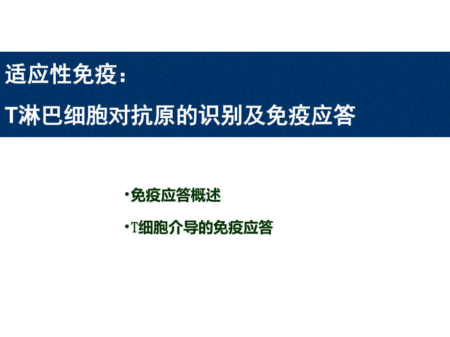 2020年整理T细胞介导的细胞免疫应答（五月二十六）.ppt_第1页