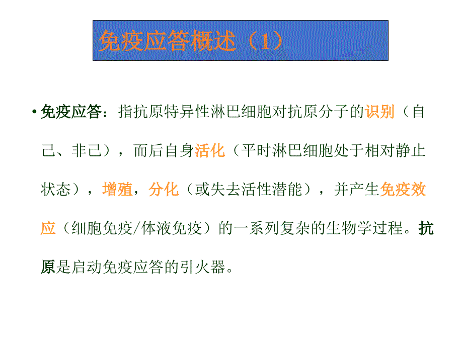 2020年整理T细胞介导的细胞免疫应答（五月二十六）.ppt_第2页