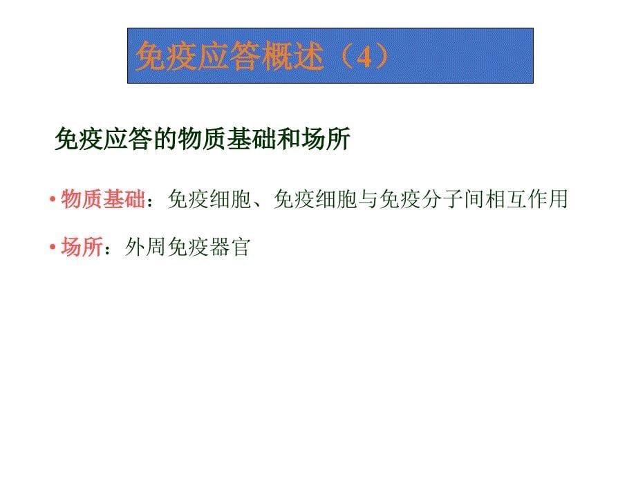 2020年整理T细胞介导的细胞免疫应答（五月二十六）.ppt_第5页