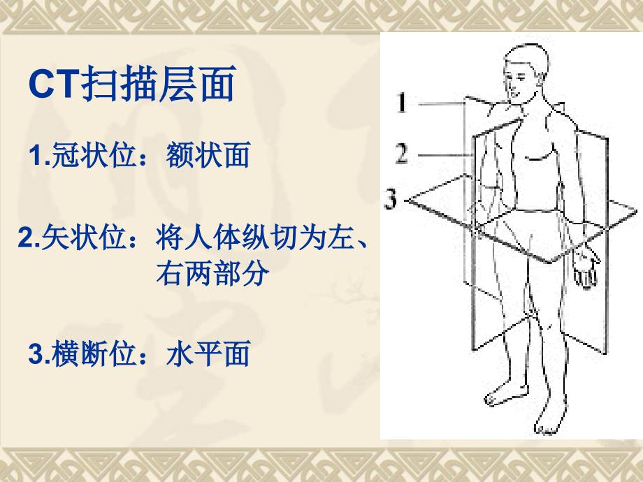 头部基础及断面解剖PPT课件_第2页