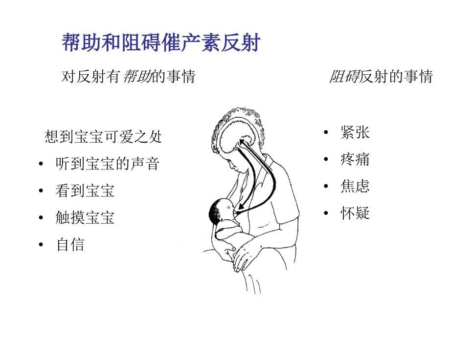 《精编》母乳喂养的机制讲义_第5页