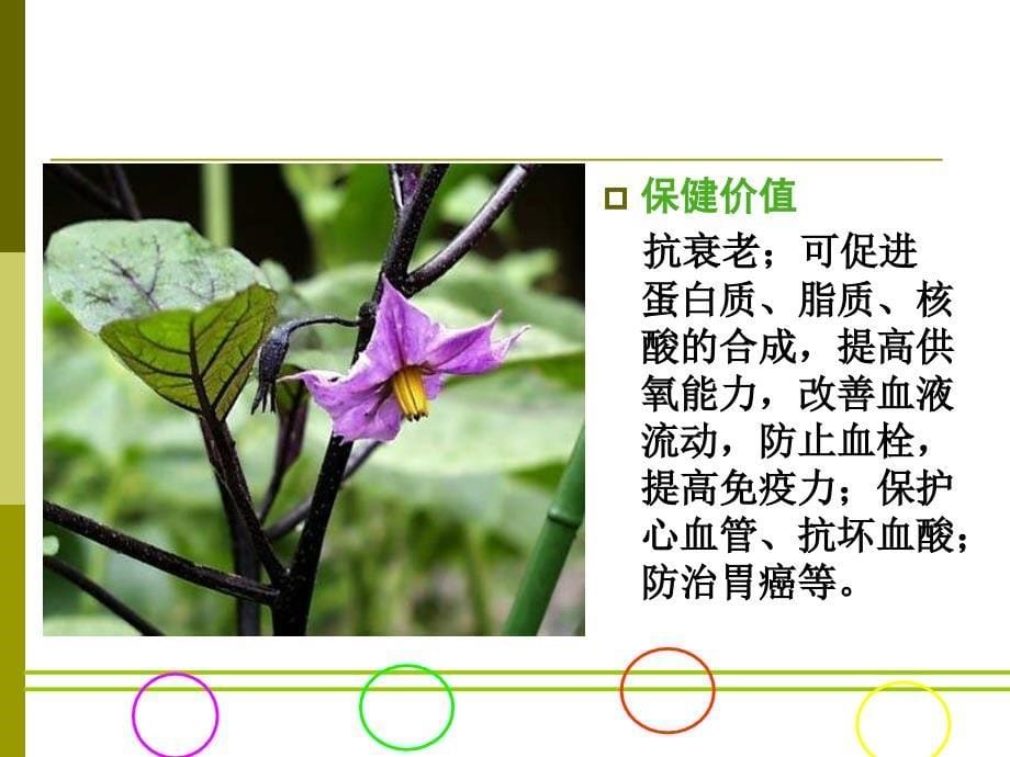 茄科资源植物PPT课件_第5页