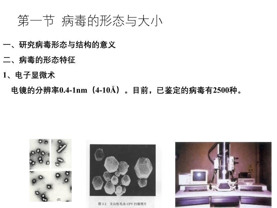 病毒学第二章 病毒的形态与结构（五月二十六）.ppt_第3页