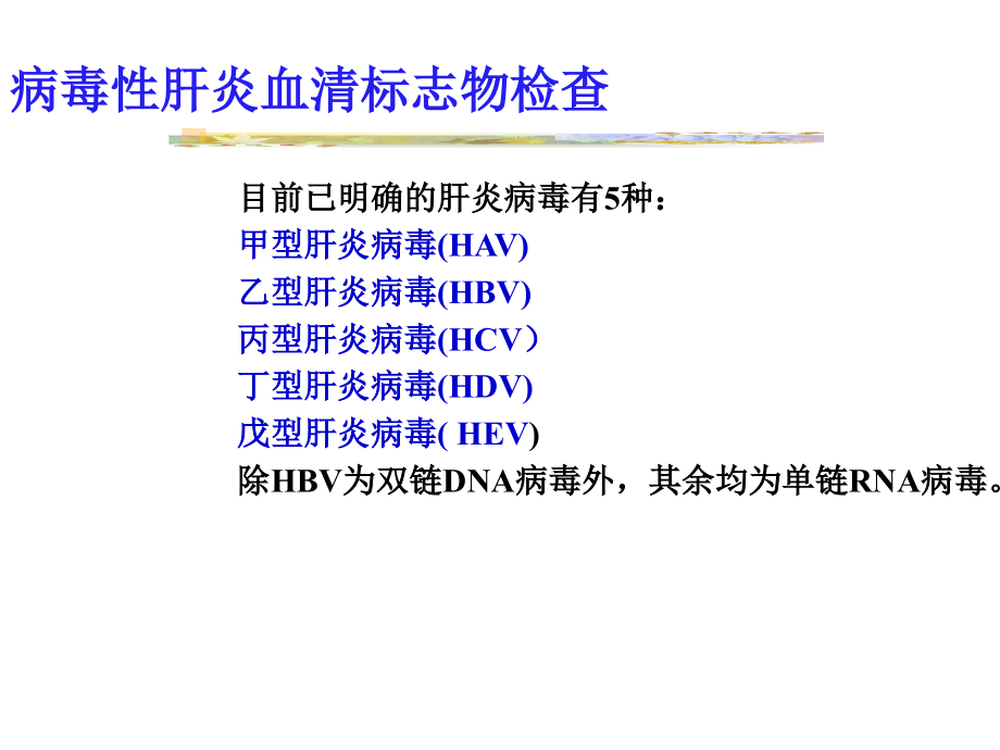 病毒性肝炎血清学及肿瘤标记（五月二十六）.ppt_第2页