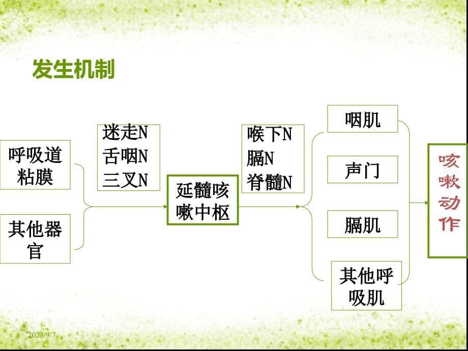 呼吸系统常见症状及体格检查PPT课件_第5页