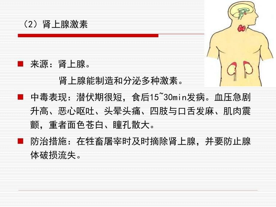 第章食品中各类化学物质毒理学PPT课件_第5页