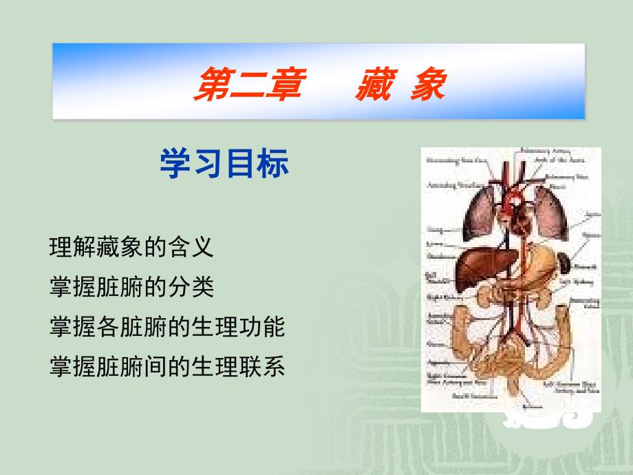 药物学脏象PPT课件_第1页