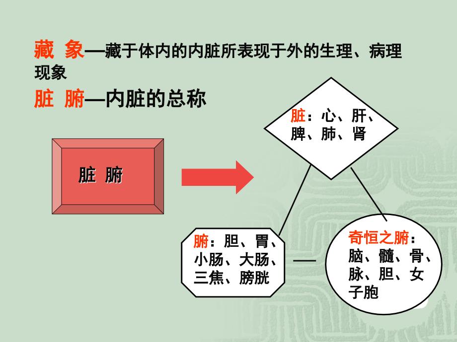 药物学脏象PPT课件_第2页