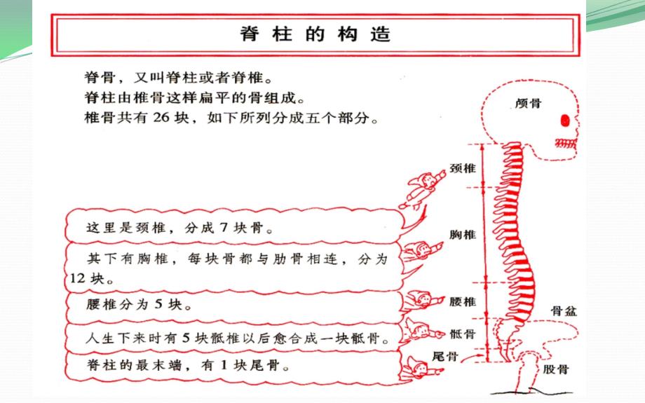 怎样保养您的颈椎分析PPT课件_第2页