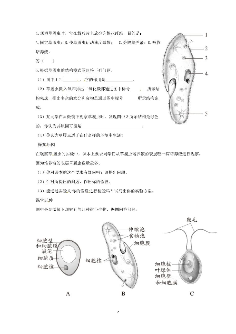 七年级生物上册 第三节　只有一个细胞的生物体解析与测评教案人教版.doc_第2页