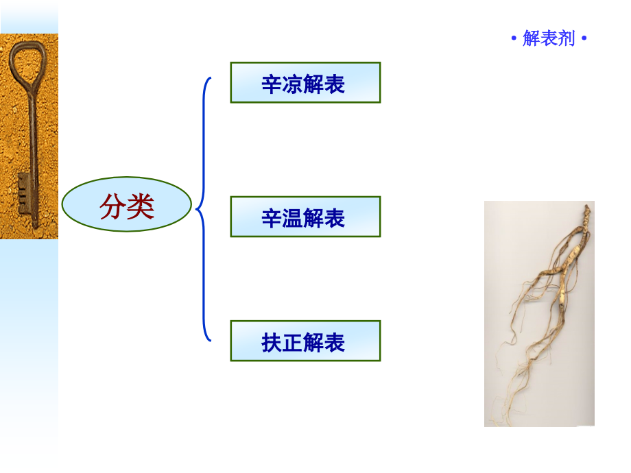 广州中医药大学方剂学课件解表剂PPT课件_第3页