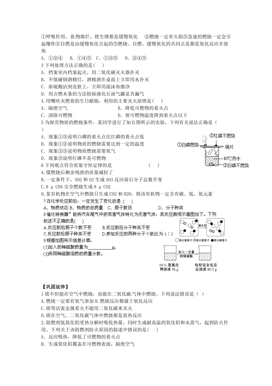 江苏省兴化市昭阳湖初级中学九年级化学上册 第4章 认识化学变化复习（无答案）（新版）沪教版_第2页