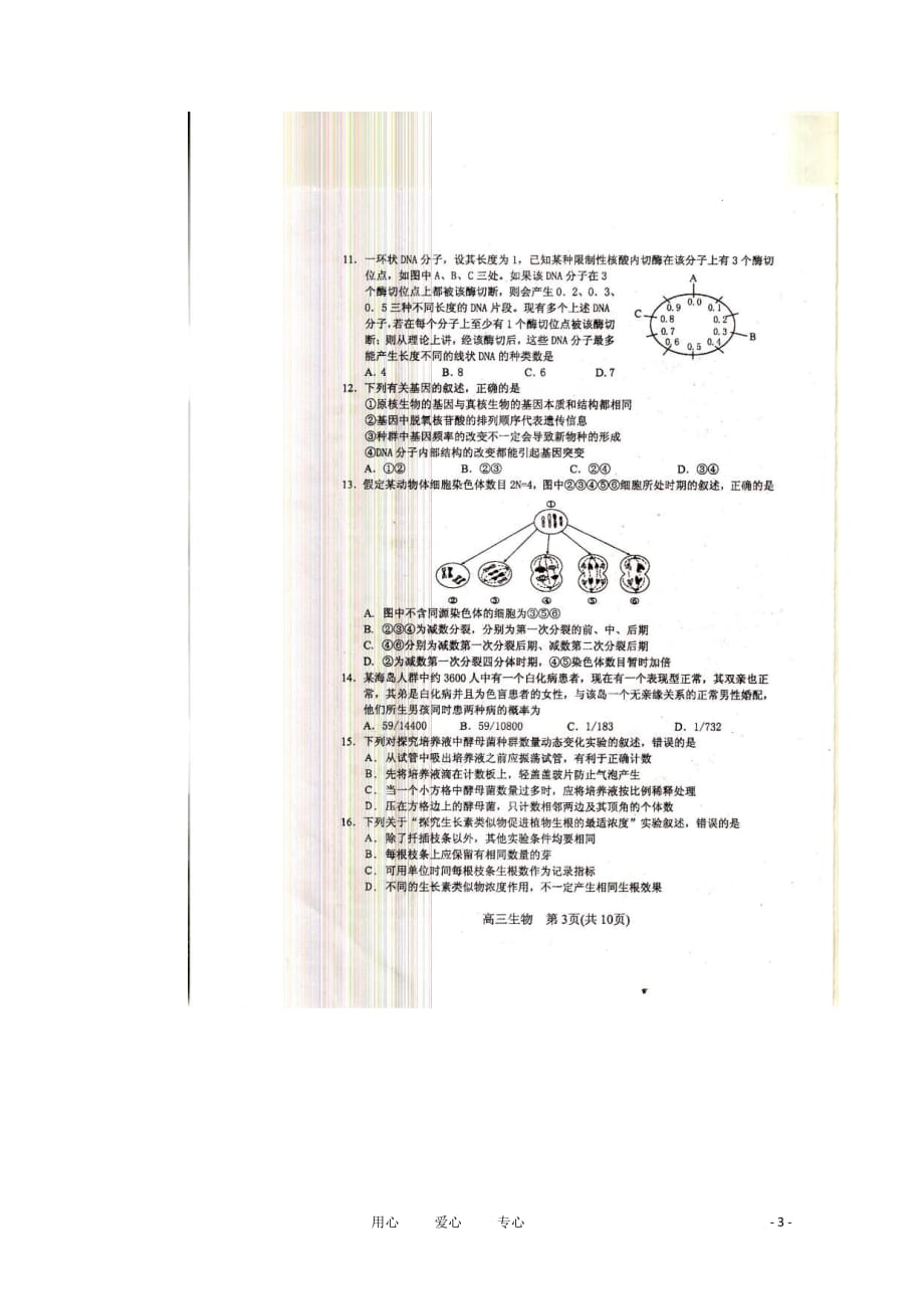 江苏省苏、锡、常、镇四市2011届高三生物教学情况调研（一）.doc_第3页