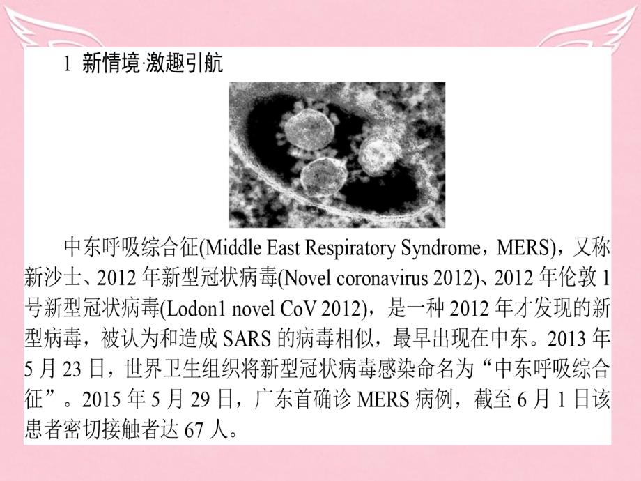 2015-2016年高中生物 2.4免疫调节课件 新人教版必修3_第2页