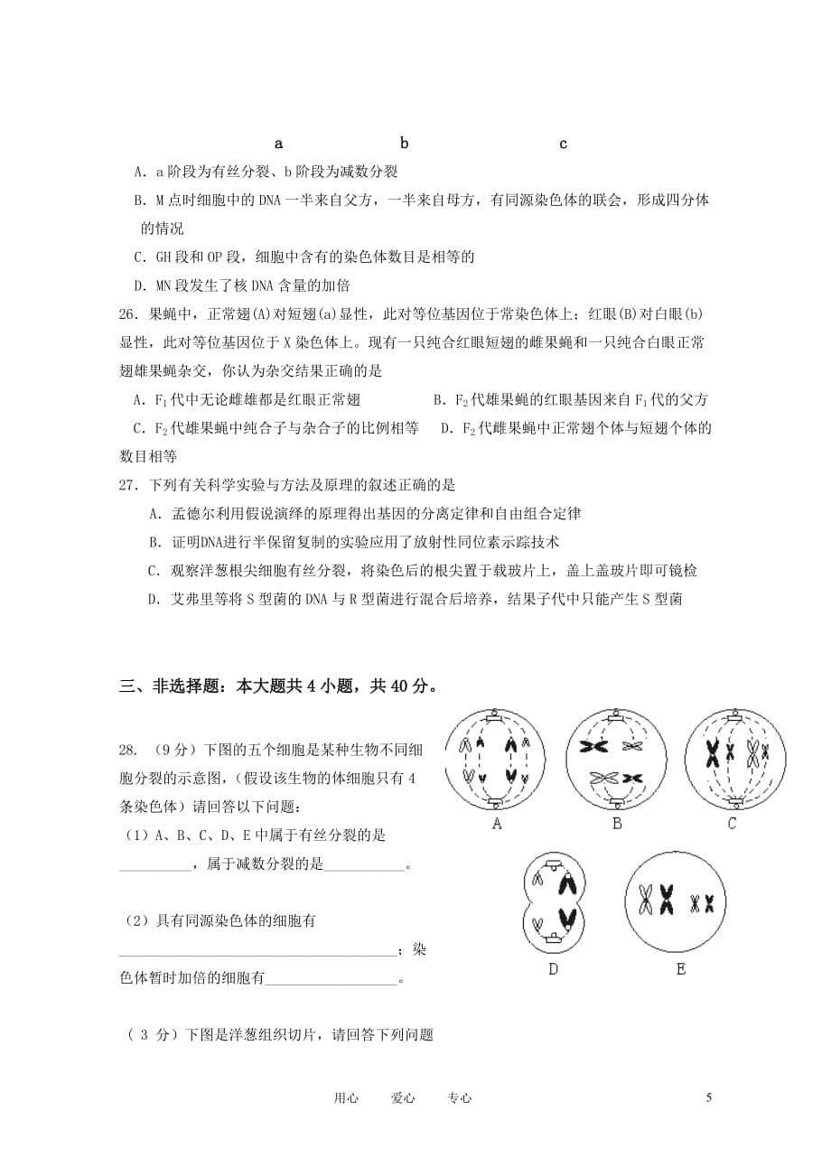 广东省东华高级中学2010－2011学年高一生物下学期期中考试.doc_第5页