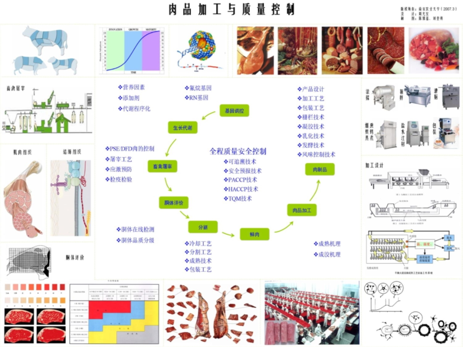 肉制品工艺学演示教学_第3页