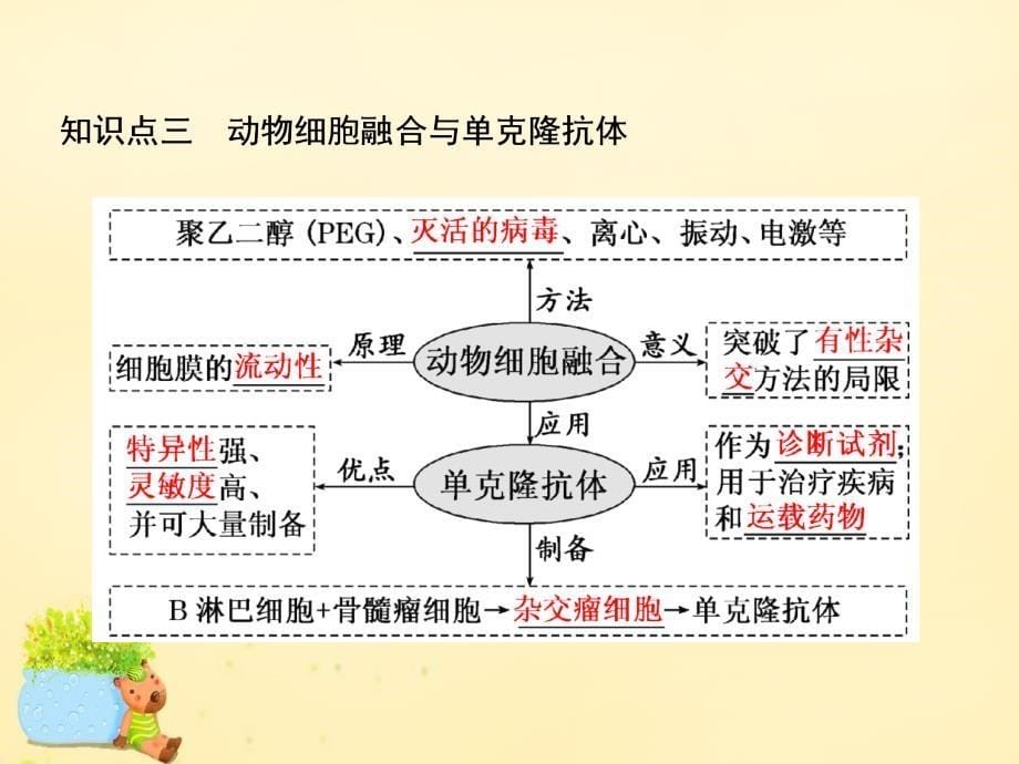 2017届高三生物一轮复习 现代生物科技专题 第二讲 细胞工程课件（选修3）_第5页