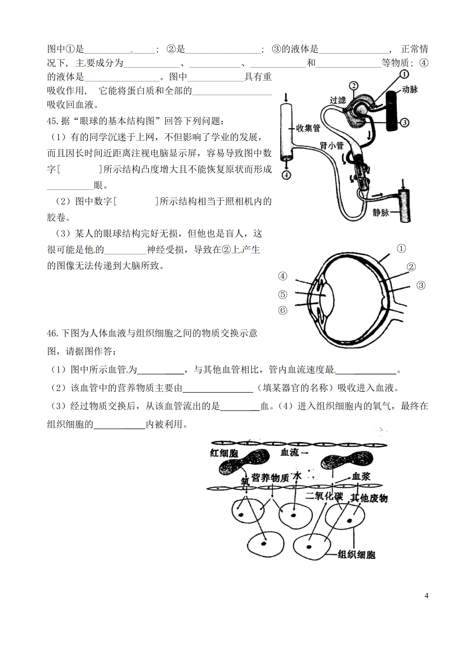 甘肃省张掖市2011-2012学年七年级生物下学期期末考试试题（无答案）.doc_第4页