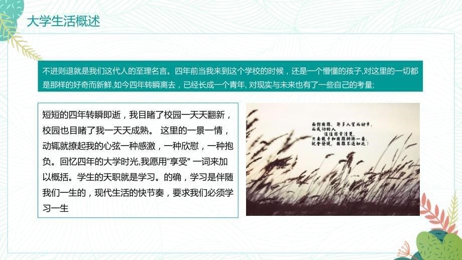 2020小清新文艺清新大学德育答辩动态PPT_第5页