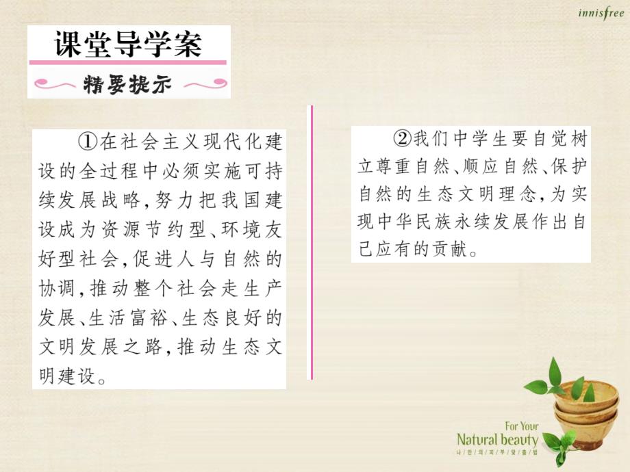 2016年秋九年级政治全册 第四课 了解基本国策与发展战略 第3框 实施可持续发展战略课件 新人教版_第2页