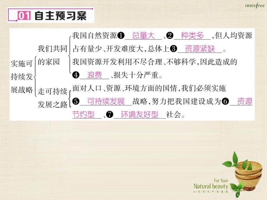 2016年秋九年级政治全册 第四课 了解基本国策与发展战略 第3框 实施可持续发展战略课件 新人教版_第5页