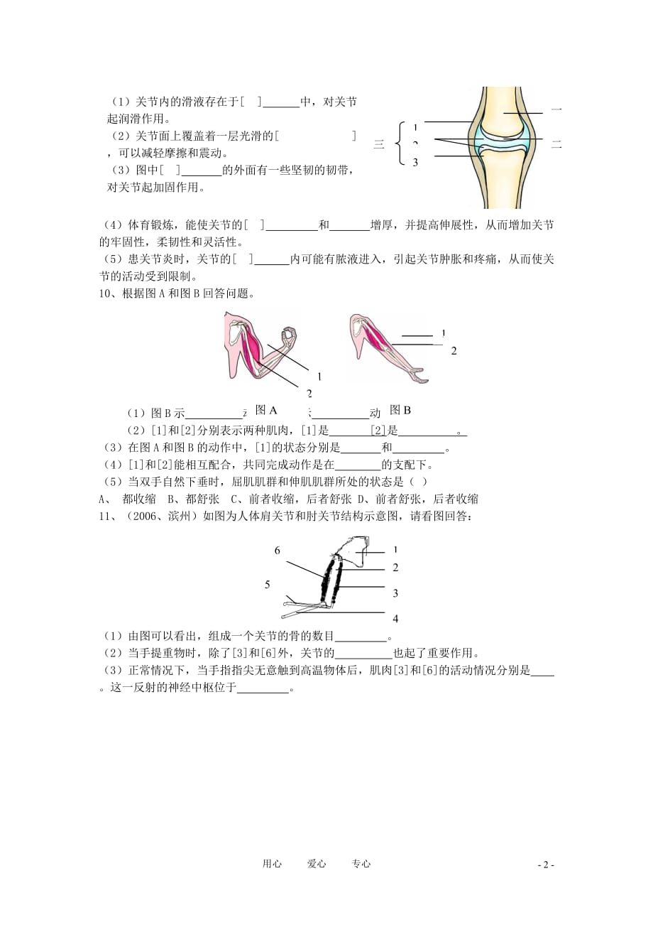 八年级生物上册《人体的支持与运动》同步练习2 苏科版.doc_第2页