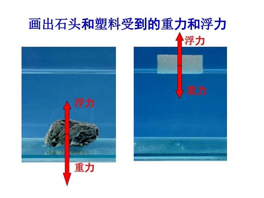 教科版五年级下册科学《下沉的物体会受到水的浮力吗》课件_第5页