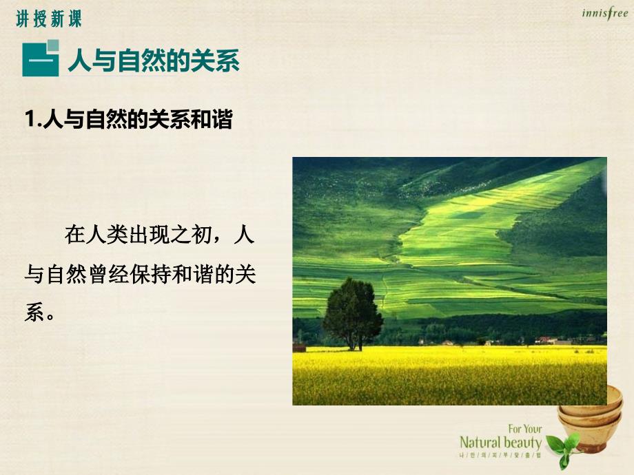 2016年秋九年级政治全册 2.1 日益严峻的生态危机（第1课时）课件 湘教版_第4页