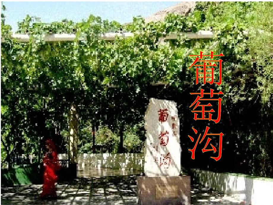 葡萄沟(生字课文)教学文案_第1页