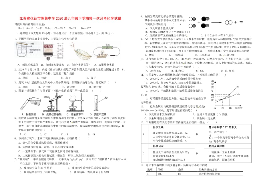 江苏省仪征市2020届九年级化学下学期第一次月考试题（无答案）_第1页