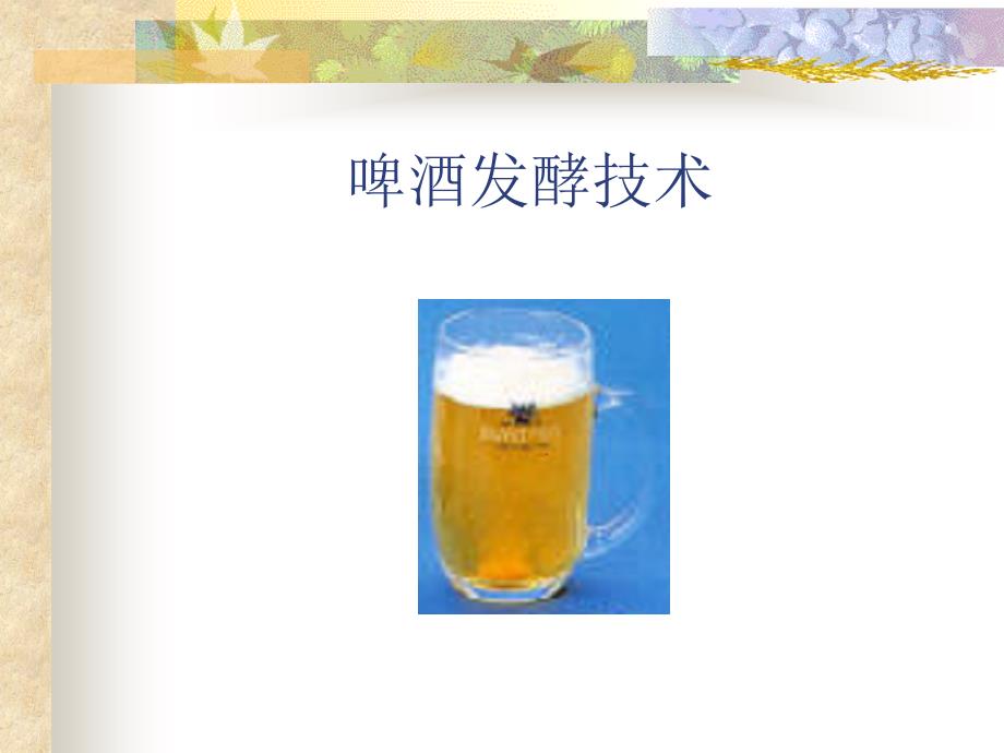 《精编》啤酒发酵技术_第1页