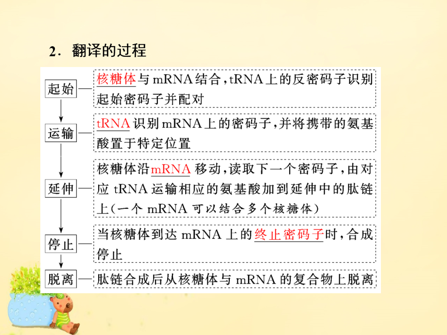 2017届高三生物一轮复习 第二单元 基因的本质与表达 第三讲 基因的表达课件（必修2）_第4页