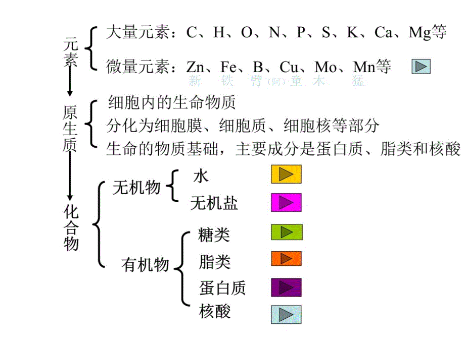 生物界与非生物界有统一性和差异性-组成生物体的化学元素的重要作用教学提纲_第3页