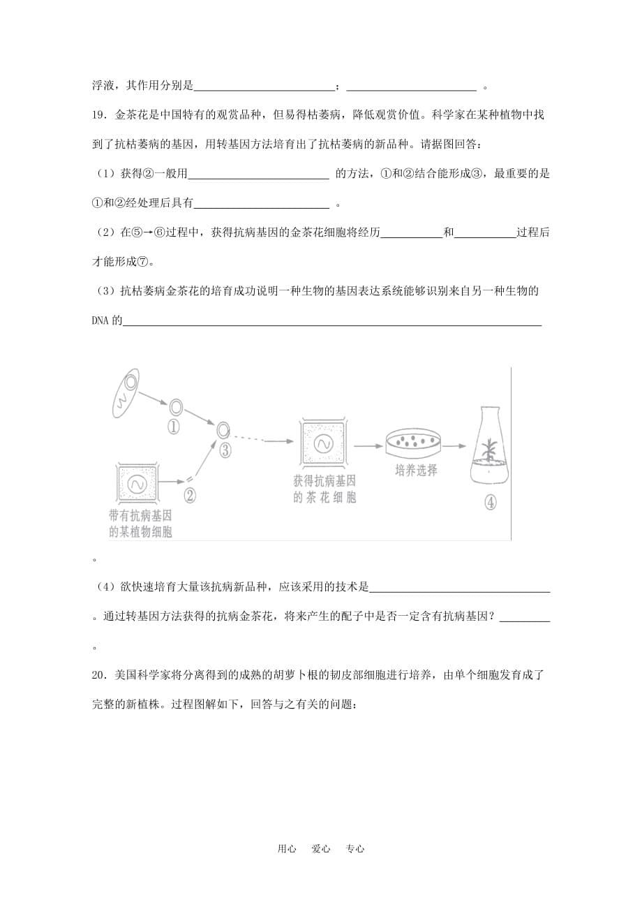 高中生物 7.5《克隆技术》单元测试 沪科版第二册.doc_第5页