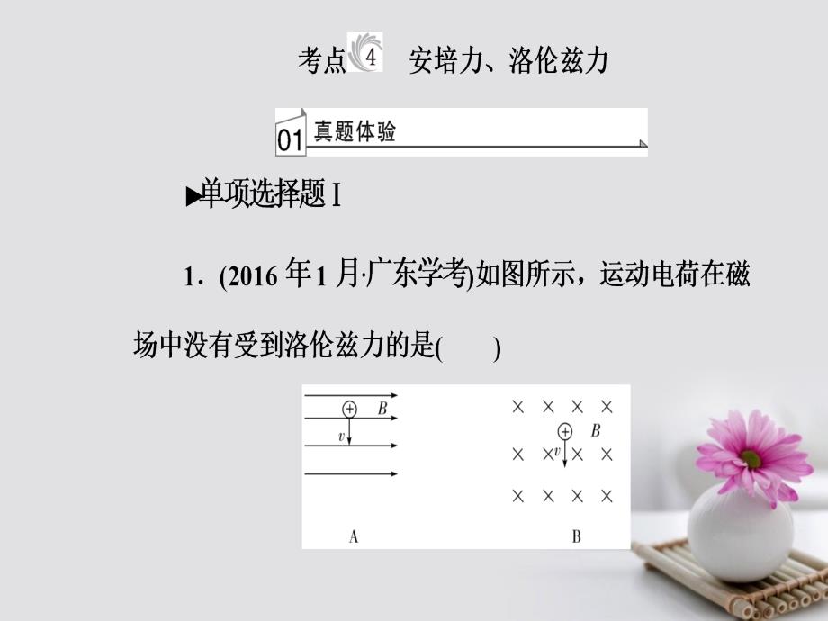 2017-2018学年高考物理一轮复习 专题七 电磁现象与规律 考点4 安培力、洛伦兹力课件_第2页