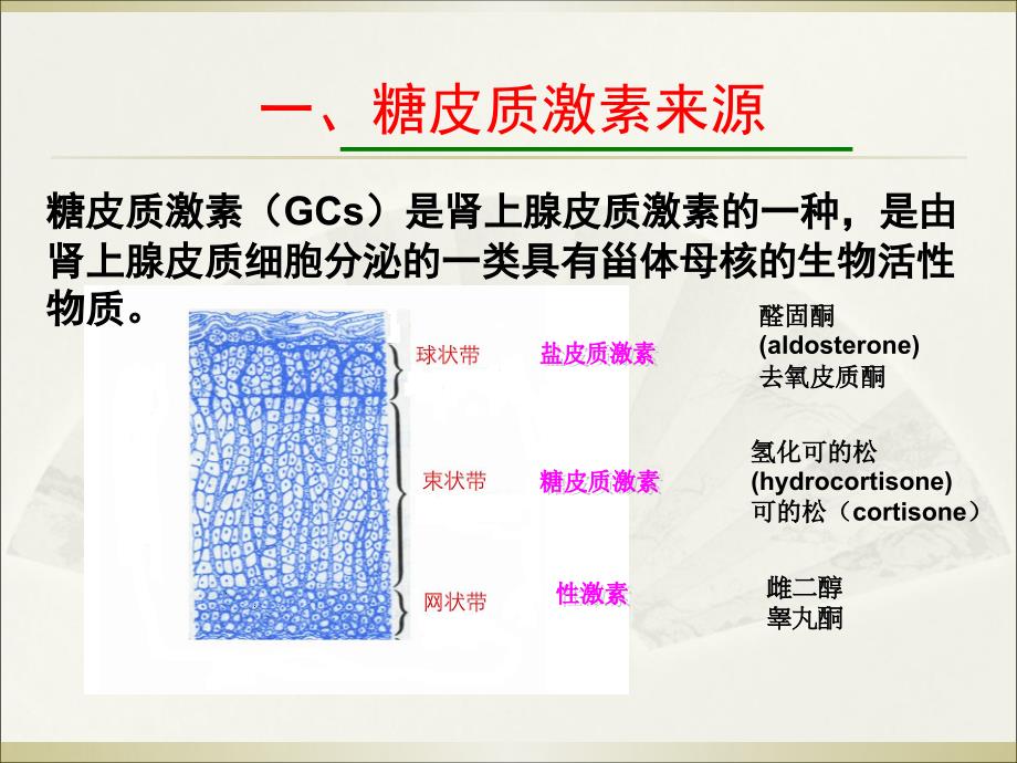 肾上腺糖皮质激素围术期应用专家共识(2017)教学文案_第2页