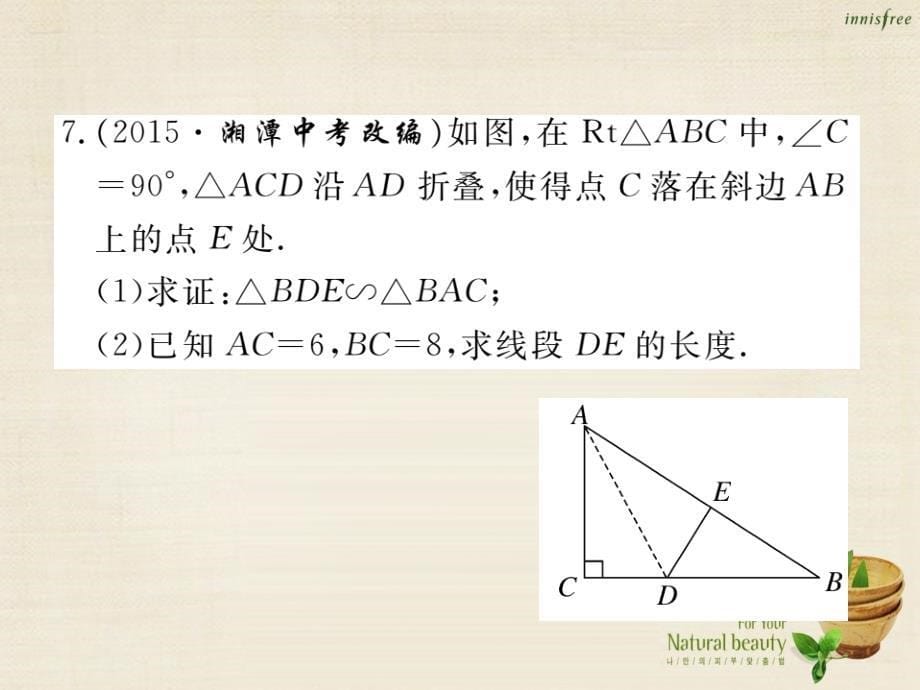 2016秋九年级数学上册 第23章 图形的相似热点专练课件 （新版）华东师大版_第5页