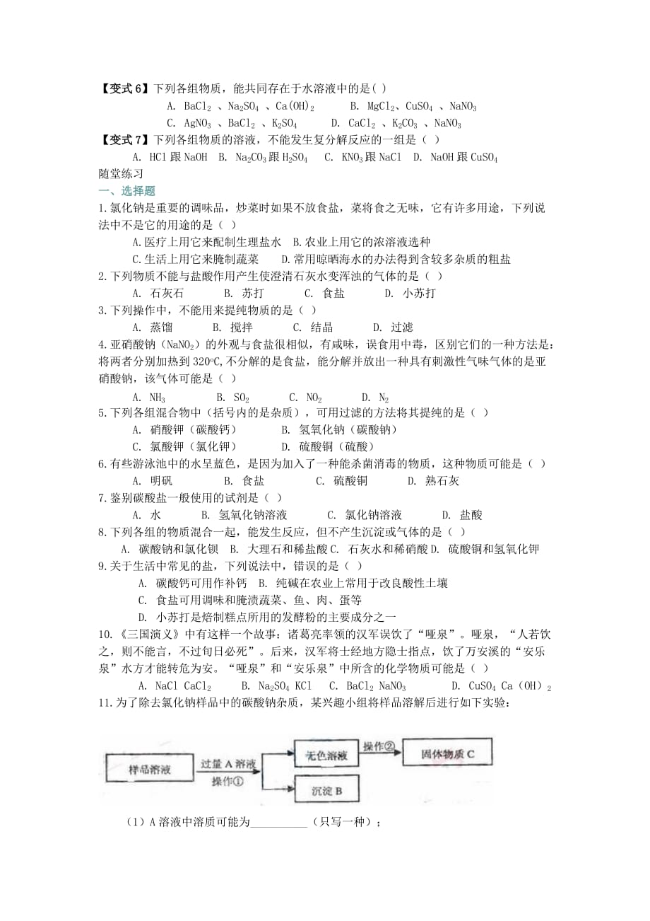 九年级化学 第十一讲生活中常见的盐学案（无答案）人教新课标版_第4页