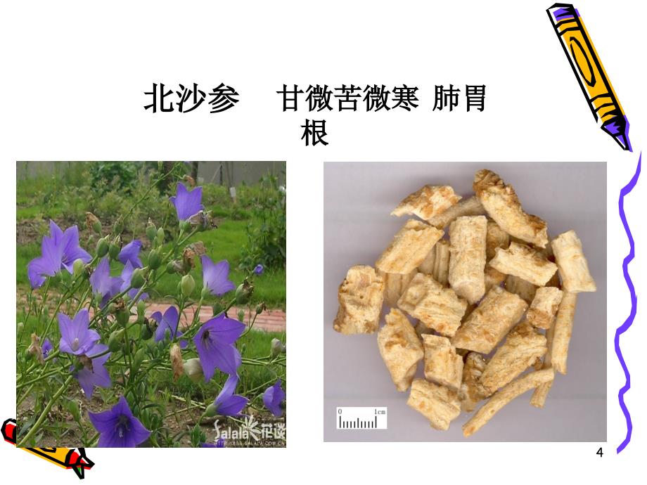 补阴药课件PPT_第4页