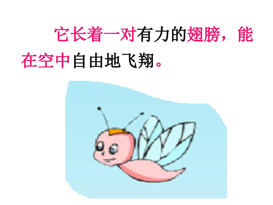 蜗牛的奖杯(王华珠)讲课资料_第2页